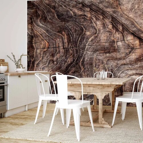  Foto tapeta - Signs of the times - an abstract background with the wrinkled bark of an old tree 350x256 Vodootporna Slike