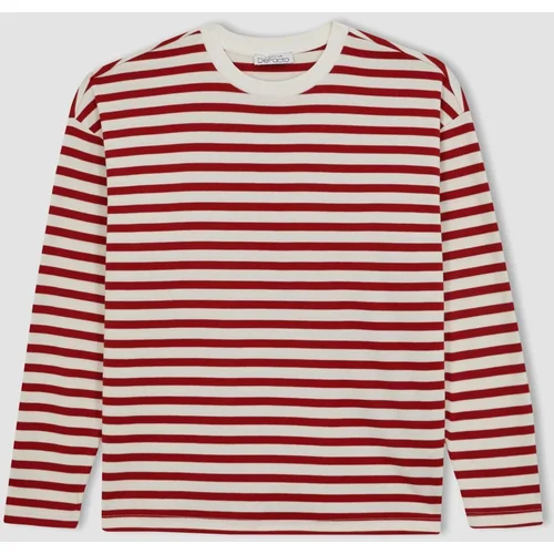 Defacto Regular Fit Striped Crew Neck Long Sleeve T-Shirt