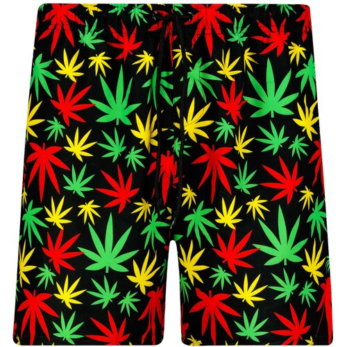 Frogies Men&amp;#039;s swim shorts Mr. Green Slike
