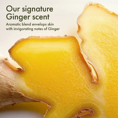 Origins Holiday Cozy Lip to Ginger Set darilni set uniseks Slike