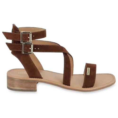 Les Trop&amp;eacute;ziennes par M Belarbi HOCEAN SUEDE Smeđa Slike