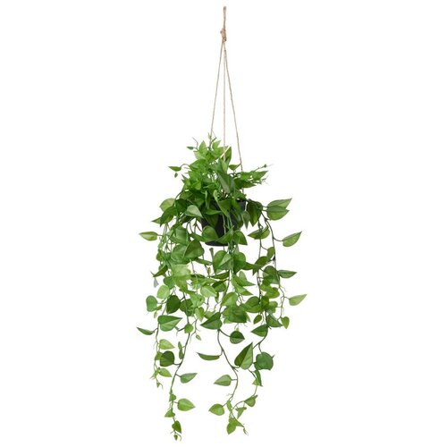 Modern Living Umetna Rastlina Philodendron Ii -Paz- -Ext- Cene
