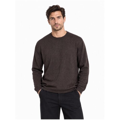 Armani Exchange Puloverji XM002986AF10454 Kostanjeva Slike