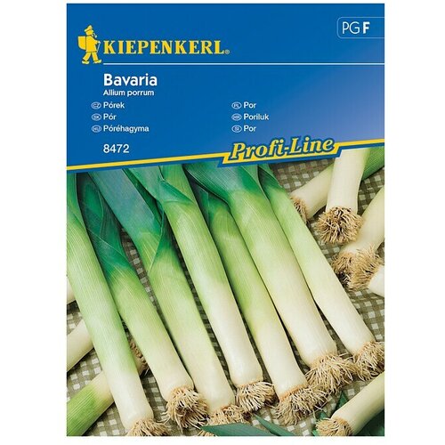 KIEPENKERL Sjeme povrća Poriluk Bavaria (Allium porrum, Berba: Kolovoz) Cijene