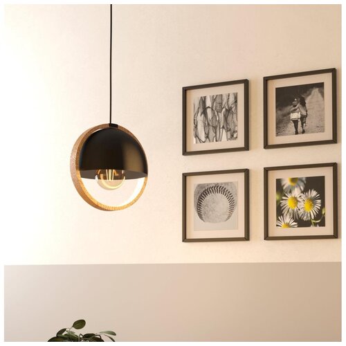 Eglo 43755 - visilica na sajli callow 1xE27/40W/230V Cene