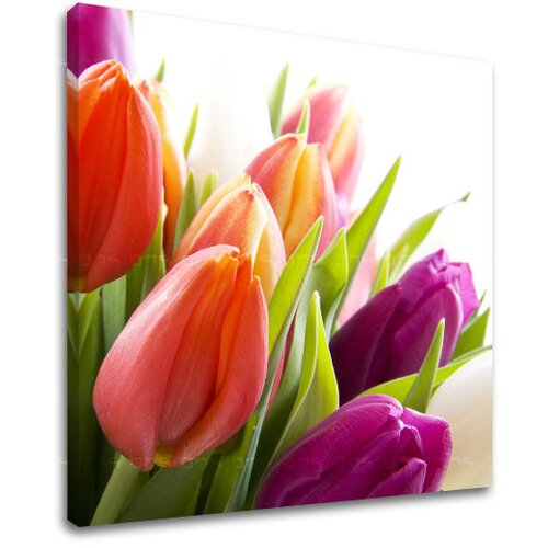  Slike na platnu cveće  (moderne slike na platnu) Cene