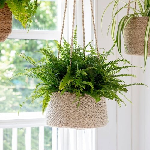 Garden Trading Viseča ko&amp;scaron;ara - Nizka Slike