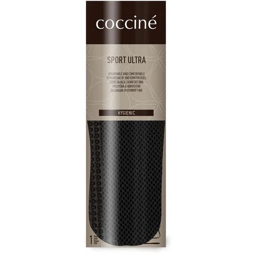 Coccine 