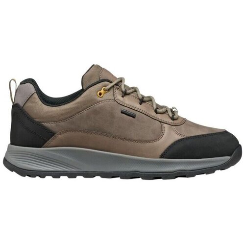 Geox Nizke superge Baskets U TERRESTRE B ABX Kostanjeva Slike