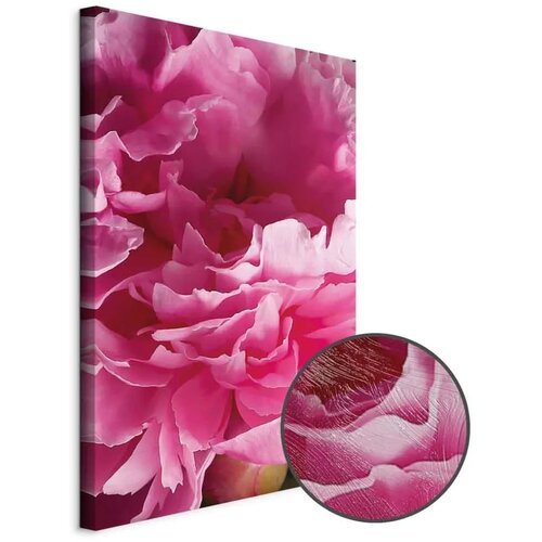  Slika - Blossom of Beauty (1-part) - Pink Peony Flower Embraced by Nature 60x90 Cijene