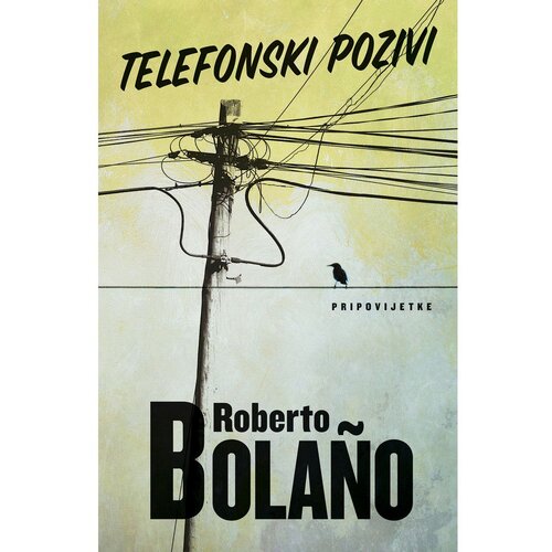 Vuković&amp;amp;Runjić Telefonski pozivi, Roberto Bola&amp;ntilde;o Slike