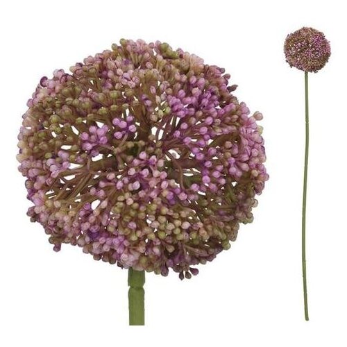  CVIJET ALLIUM 60CM LJUBIČASTI PVC Slike