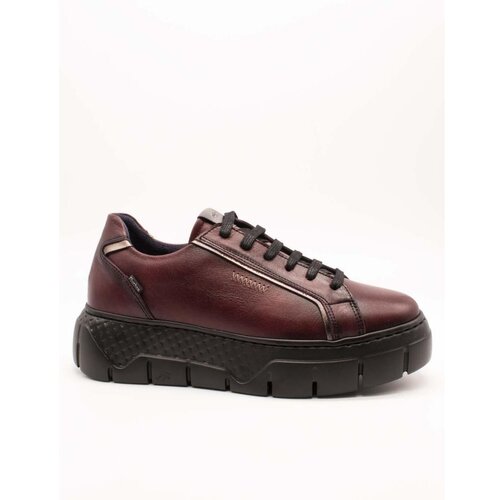 Fluchos Nizke superge - Bordo Cene