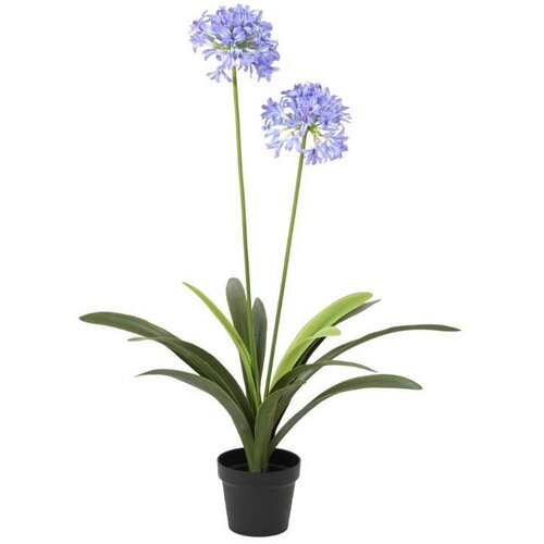 Ambia Home UMETNA RASTLINA 80/105 cm Slike