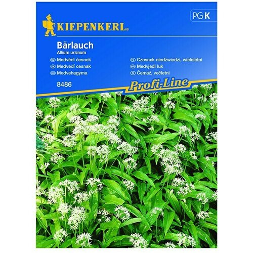 KIEPENKERL Sjeme povrća Medvjeđi luk (Berba: Lipanj - Rujan, Botanički opis: Allium ursimom) Slike