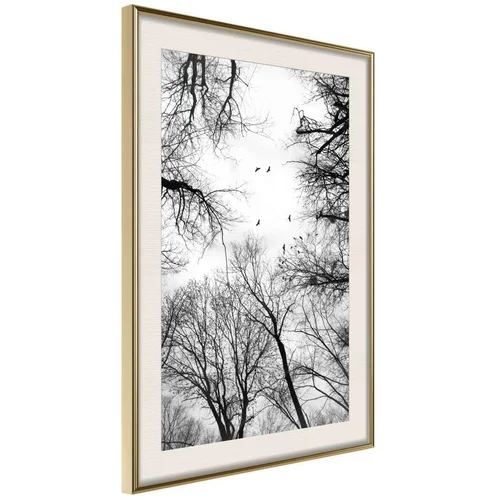  Poster - Treetops 30x45