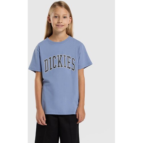Dickies Excavator Graphic T-shirt endless sky Slike