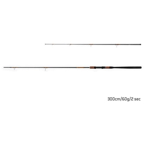 Delphin feeder štap rewir picker, 300 cm, 60 g, 2 pc + 3 tips Cene