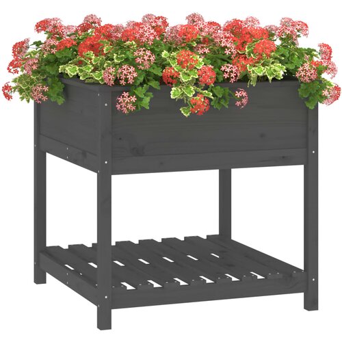  Sadilica s policom siva 82,5x82,5x81 cm od masivne borovine Slike