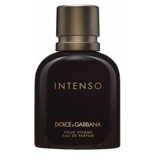 Dolce & Gabbana muški parfem pour homme intenso, 40ml Slike