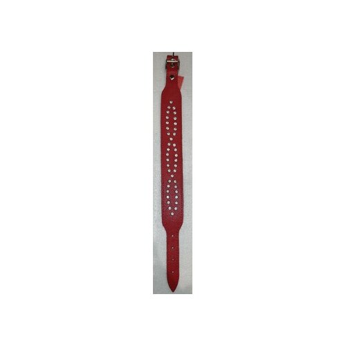 Trusina 5456 ogrlica za pse, kožna sa kopčom, otr 60/54cm, l, crvena Cene