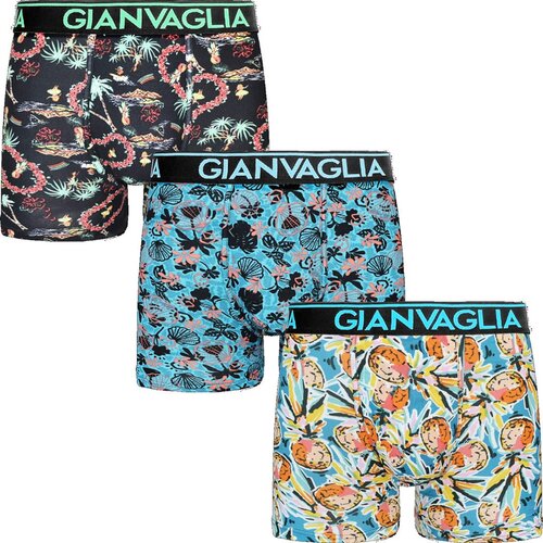 Gianvaglia 3PACK men's boxers multicolor (GVG-5502) Cene