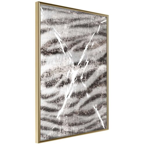  Poster - Predator Skin 40x60 Slike