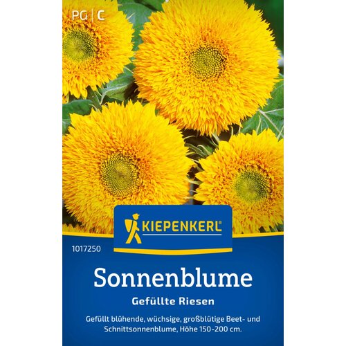 KIEPENKERL Sončnica "polni velikan" - 1 pkt. Cene