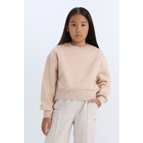 Defacto Girl Relax Fit Crew Neck Basic Plain Soft Fluffy Thick Fabric Sweatshirt Slike