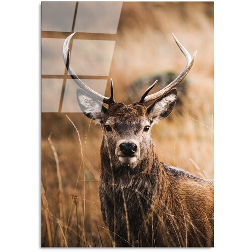 Wallity Steklena slika 70x100 cm Deer – Wallity Cene