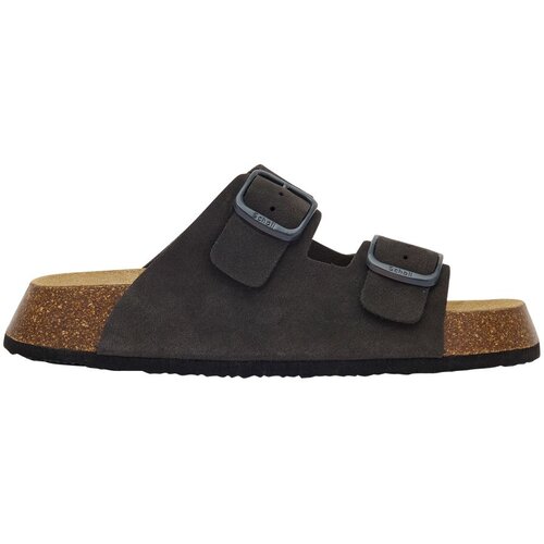Scholl Papuce Noelle 24 W Cene