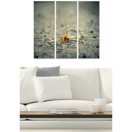 Wallity Set slika MDF1812470, 3 dijela Slike