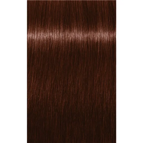 Schwarzkopf IGORA Expert Mousse pjena za bojanje za kosu nijansa 4-68 Medium Brown Chocolate Red 100 ml