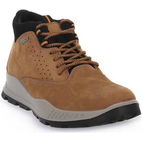 Imac Škornji BROWN Kostanjeva Cene