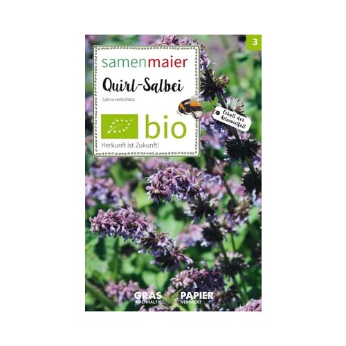 Samen Maier Divji cvet Lilac sage Cene
