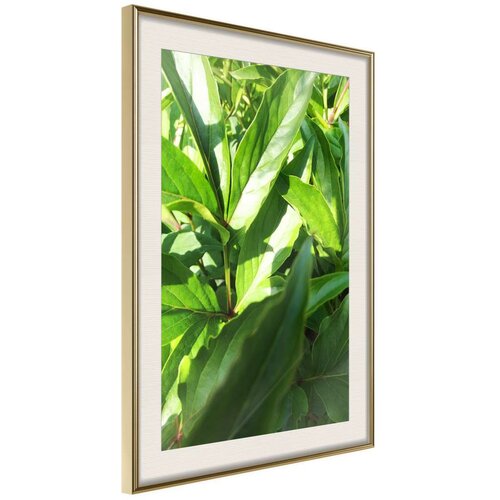  Poster - Somewhere in the Garden 20x30 Slike