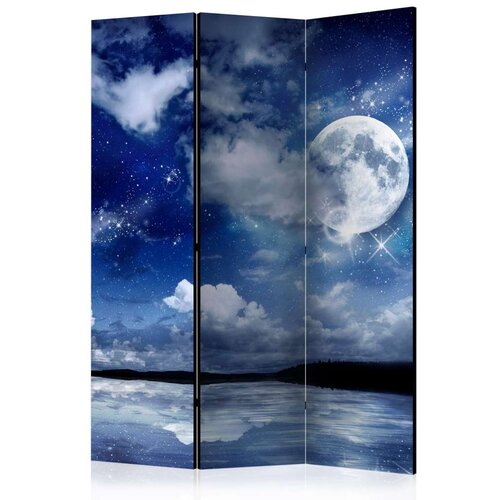  Paravan u 3 dijela - Magic Night [Room Dividers] 135x172 Slike