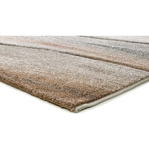 Universal Bež preproga 200x290 cm Badet &amp;ndash; Slike
