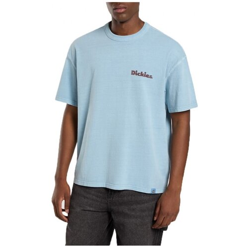 Dickies Majice &amp;amp; Polo majice SLAYDEN GD Modra Slike