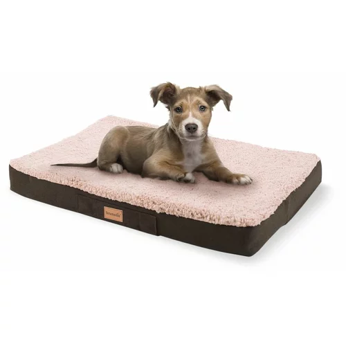 brunolie Balu, pasja postelja, blazina za psa, pralna, ortopedska, protizdrsna, zračna spominska pena, velikost S (72 × 8 × 50 cm)