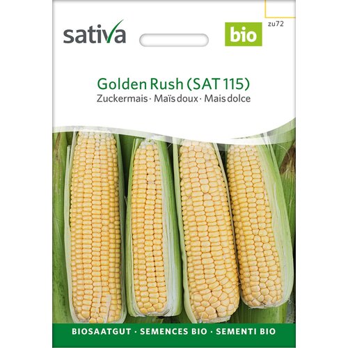 BIO sladka koruza &amp;ldquo;Golden Rush&amp;rdquo; - 1 pkt. Slike