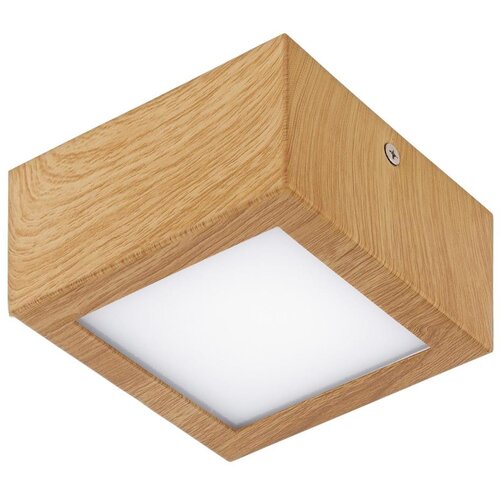 Eglo 95195 - LED plafonsko svetlo COLEGIO 1xLED/4,2W/230V Slike