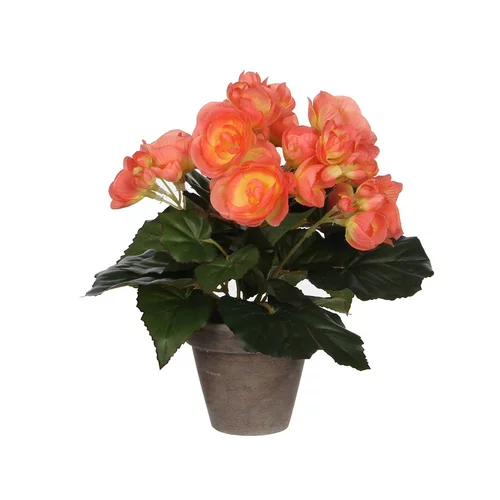 V Umjetna biljka Begonija (Visina: 25 cm, Roze boje, Plastika)