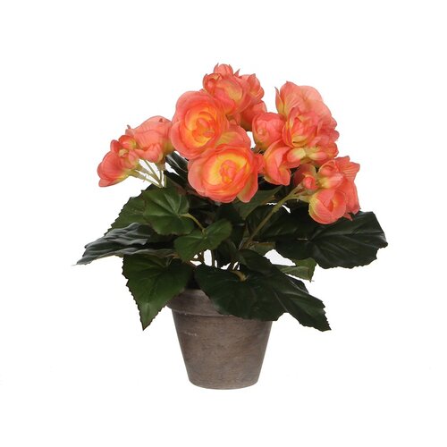 V Umjetna biljka Begonija (Visina: 25 cm, Roze boje, Plastika) Slike