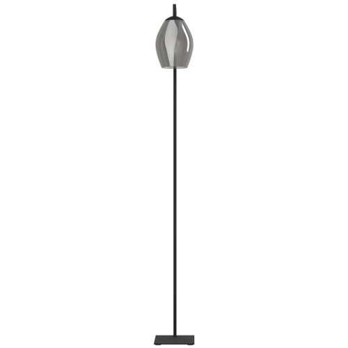 Eglo 390256 - podna lampa estanys 1xE27/40W/230V dimljena Slike