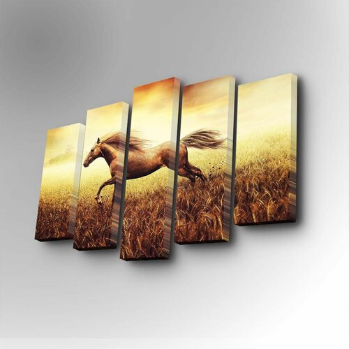 Wallity 5PUC-013 multicolor decorative canvas painting (5 pieces) Slike