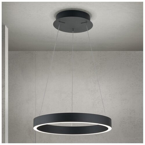 Orion led luster sa prigu&scaron;ivačem na sajli kolk LED/40W/230V 2700/3000/4000K prečnik 40 cm crna Cene