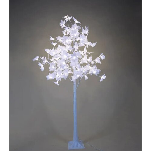 Javor svetlo drvo 120 LED lampi Slike