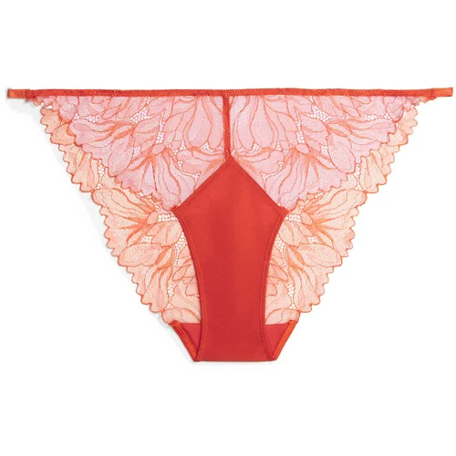 Calvin Klein Underwear Slip koraljna / ciglasto crvena