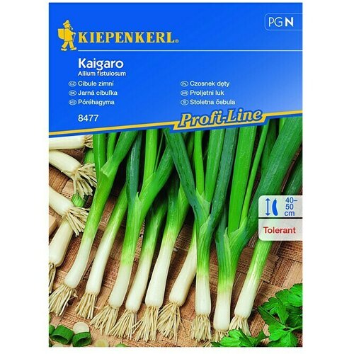 KIEPENKERL Sjeme povrća Proljetni luk Kaigaro (Allium fistulosum, Berba: Svibanj, 5 m&amp;sup2;) Slike